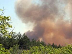 Пожарникари дежурят в района на пожара край Банско