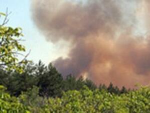 Пожари са изпепелили 14 000 дка гора от началото на 2011 г.