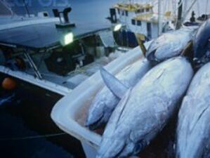 Варненски рибари сезираха Върховната касационна прокуратура