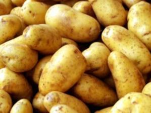Картофите поскъпват до 1.8-2 лв. за кг до седмица