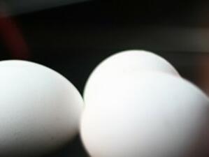 Не се очаква поскъпване на яйцата по Великден