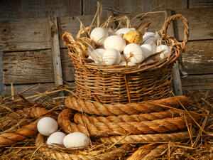 Очакват се по-евтини яйца за Великден