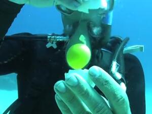 Как да счупите яйце под водата?