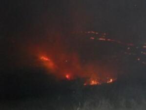 Гасиха горски пожар край Бургас