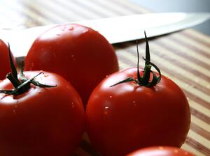 С 60,5% е паднала изкупната цена на доматите