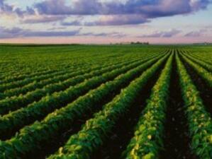 ЕК одобри схема за държавна помощ в земеделието