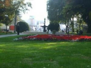 Садят над 1 млн. цветя в Пловдив