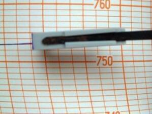 Земетресение с магнитуд 5,6 по Рихтер е усетено в Япония