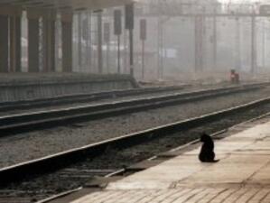 БДЖ стачкува - много влакове спряха*