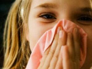 4 области излизат от грипната епидемия