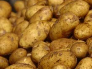 Инспектори откриха на пазара 17 000 кг картофи без етикети