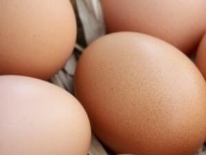 Евродиректива оскъпява яйцата от Нова година