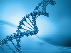 Американски учени създадоха синтетично ДНК