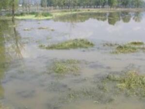Екозащитници: Държавата е виновна за наводненията