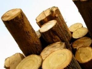 9 куб. м незаконна дървесина задържани в Сливенско