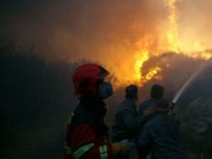 Горските пожари в Израел продължават четвърти пореден ден