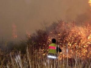 Пожарът в Израел обхвана 10 000 дка гора, 30 души са безследно изчезнали