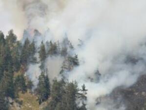Гасят 37 горски пожара в страната*