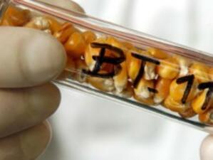 Лаборатория в Монтана изследва селскостопанската продукция за ГМО