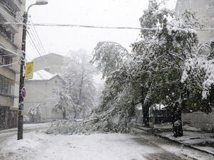 Повече от 100 населени места в Североизточна България остават без електричество
