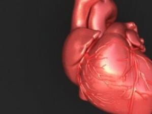 България е сред "водачите" по смъртност от сърдечни заболявания