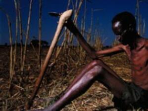 Близо 500 милиона фермери по света гладуват