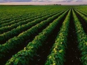 200 фирми са завели дела срещу фонд "Земеделие"