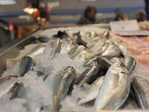 Започват масови проверки за качеството на рибата заради Никулден