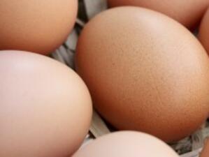 ВАС потвърди картелните цени на яйцата и пилешкото през 2008 г.