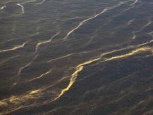 Голямо количество петрол е останало на дъното на Мексиканския залив