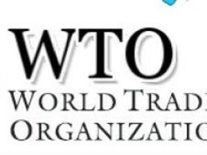 Русия ще бъде приета в СТО