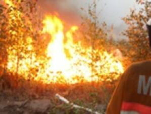 Площта на пожарите в Русия се е увеличила 40 пъти за денонощие