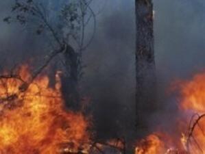 Нови горски пожари пламнаха в Русия