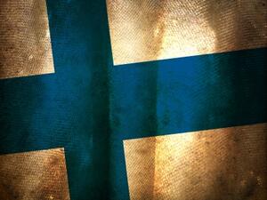 Финландският парламент ще обсъди излизане от еврозоната догодина