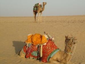 Оман влага 20 млрд. долара в развитието на туризма си