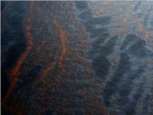 Ноовоткрити бактерии ще подпомагат чистенето на Мексиканския залив