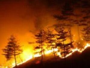 Изпращаме 100 огнеборци да гасят пожарите в Русия