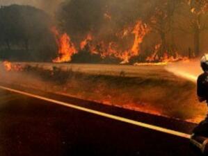 48 души са загинали от горските пожари в Русия