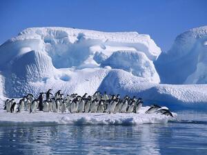 Антарктида е привлекателна туристическа дестинация за китайските туристи