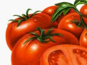 Слаб интерес към кредитите за производство на домати и пипер