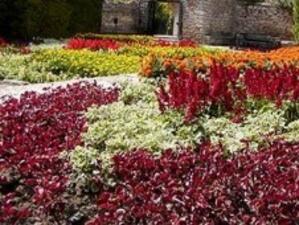 ВКС защити правата на СУ върху Ботаническата градина в Балчик