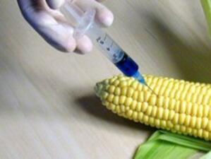 Обозначават храните с ГМО с етикети