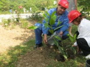 В ТЕЦ-Варна засадиха дръвчета  за деня на енергетика