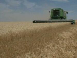 Земеделци настояват за антикризисни мерки в аграрния сектор