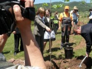 Залесяват 300 дка неземеделски земи в района на "Кремиковци"
