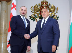 Борисов и премиерът на Грузия обсъждат икономическите и търговските отношения