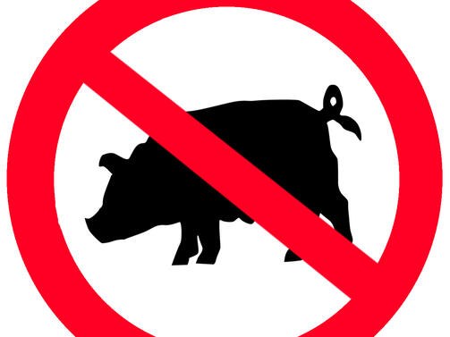 19 огнища на африканска чума по свинете са регистрирани до