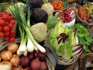МЗХГ изготви стратегия за балансиране на износа и вноса на плодове и зеленчуци