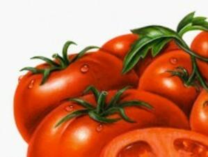 Спряха 12 камиона със заразени домати от Гърция