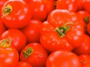 ДФ "Земеделие" ще кредитира производството на домати и пипер